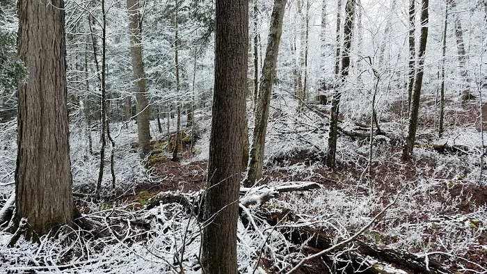 Eagle Campground Picture 8