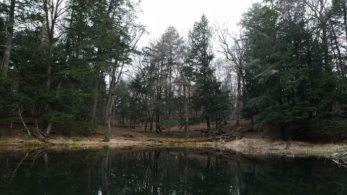 Eagle Campground Picture 9