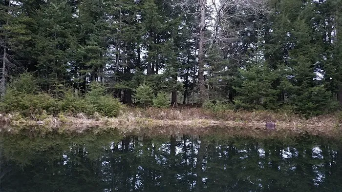 Eagle Campground Picture 7