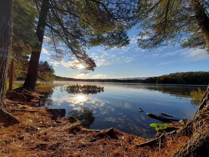 Loon Campground Picture 3