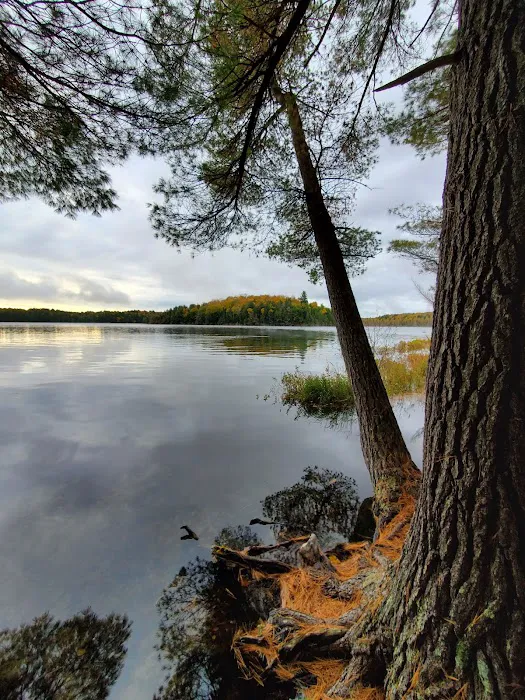 Loon Campground Picture 2