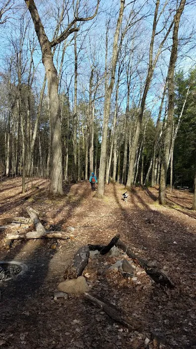 Loon Campground Picture 10