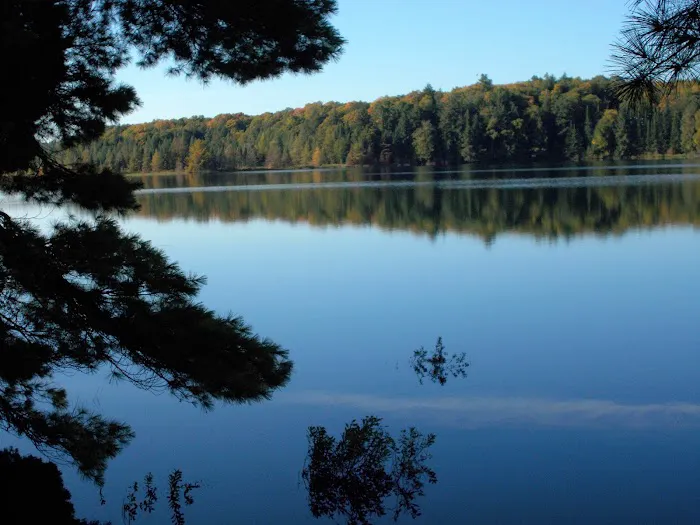 Loon Campground Picture 6