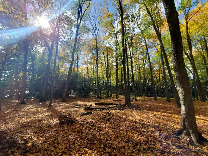 Loon Campground Picture 4