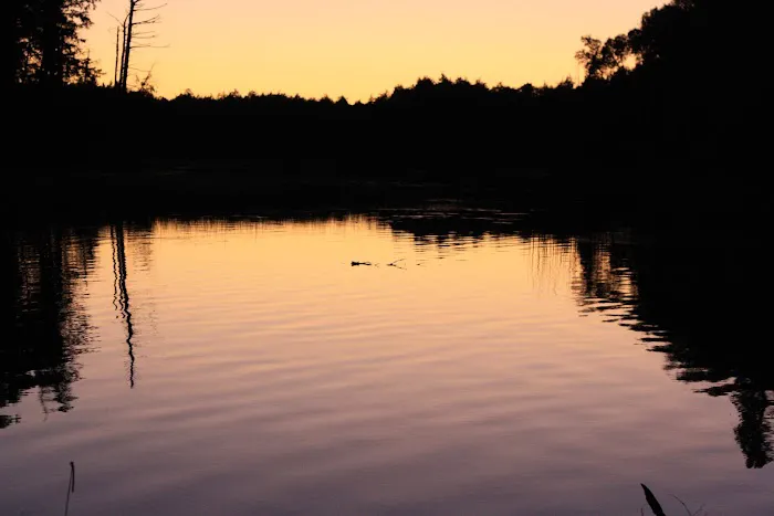 Bass Campground Picture 3