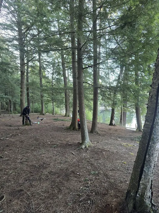 Birch Campground Picture 7