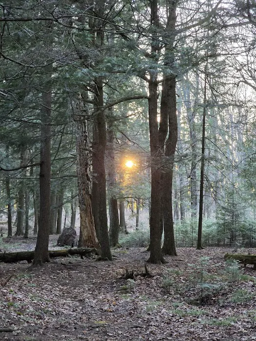 Birch Campground Picture 5