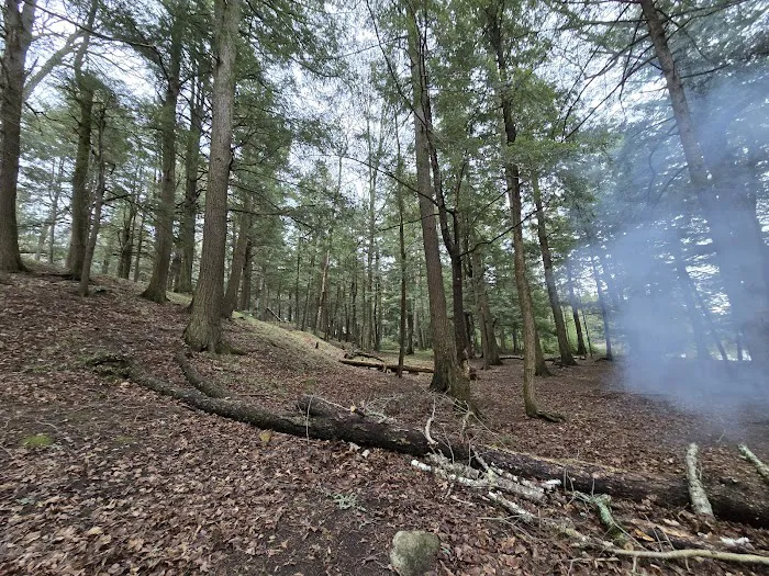 Birch Campground Picture 4