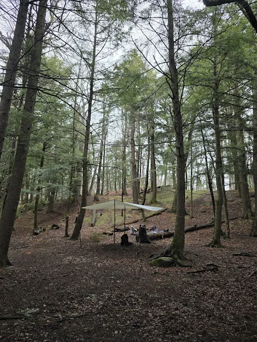 Birch Campground Picture 3