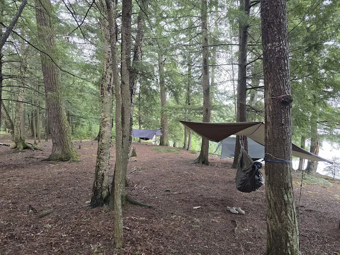 Birch Campground Picture 6