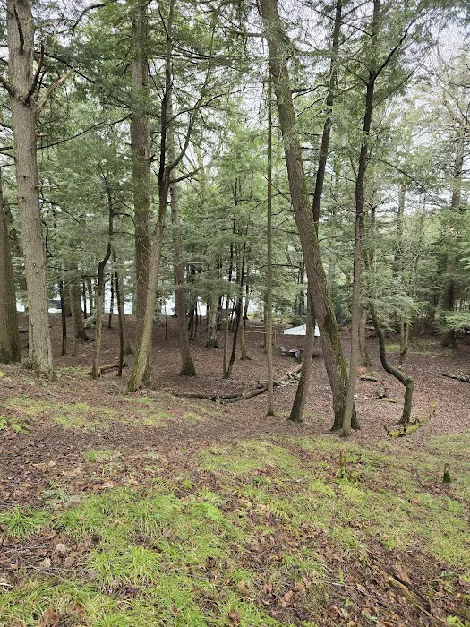 Birch Campground Picture 9