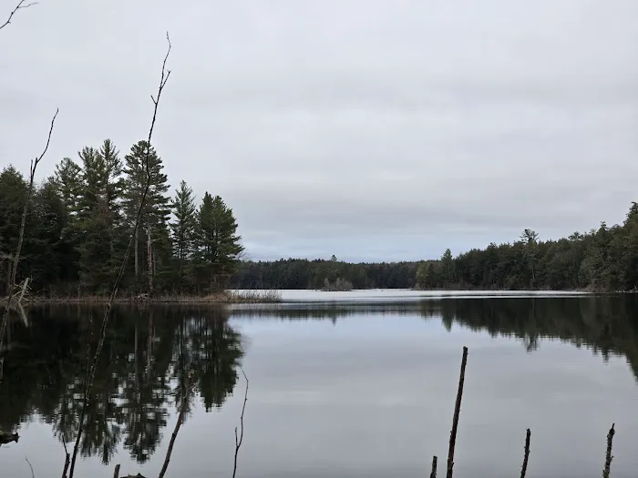 Birch Campground Picture 1