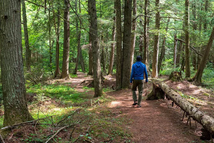 Imp Lake Campground Picture 8