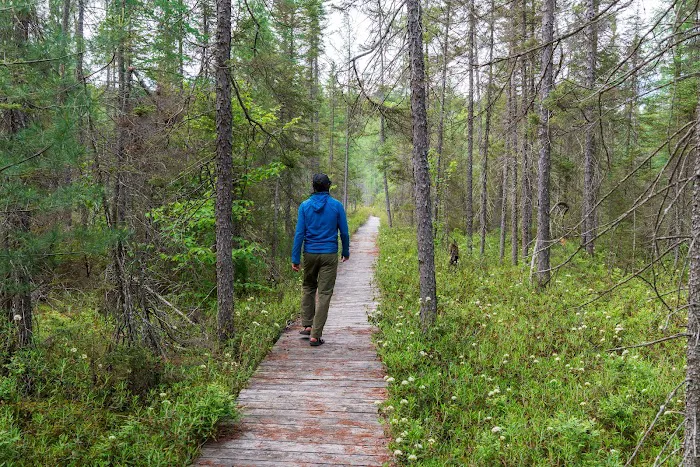 Imp Lake Campground Picture 4