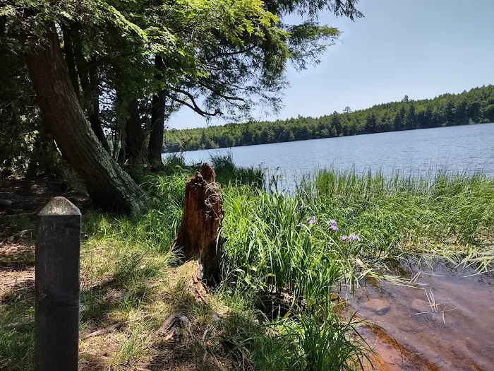 Bear Campground Picture 1