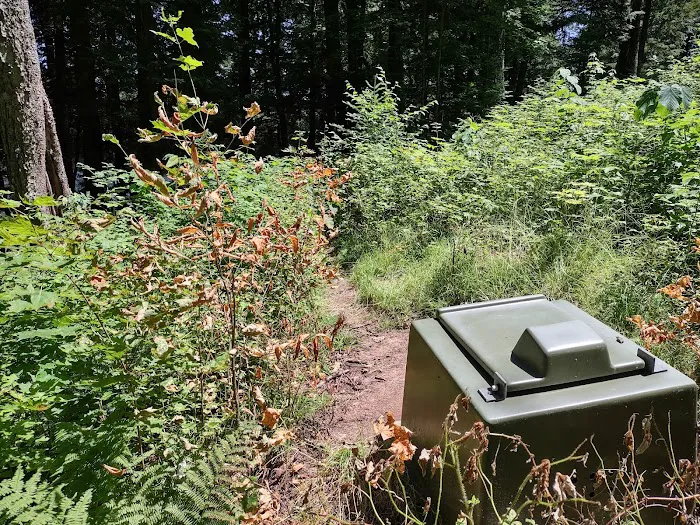 Bear Campground Picture 3