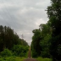 Watersmeet Ranger District ico