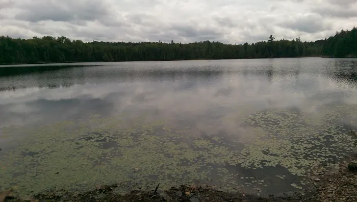 Wolf Campground Picture 10