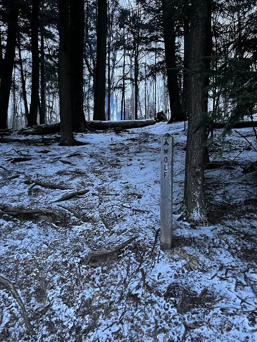 Wolf Campground Picture 8