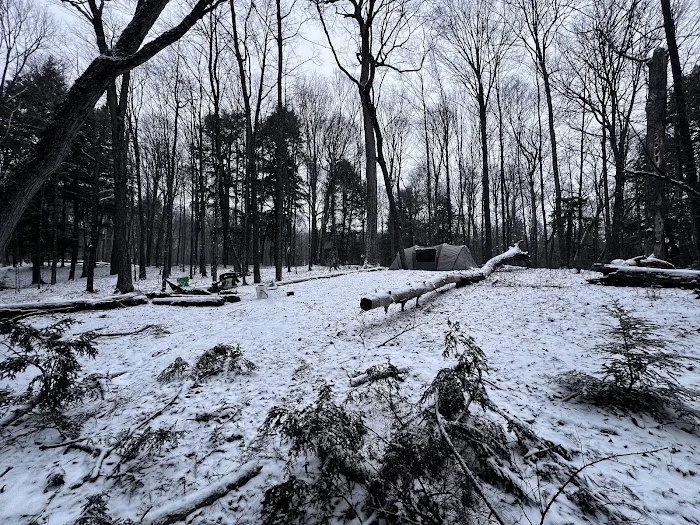 Wolf Campground Picture 9