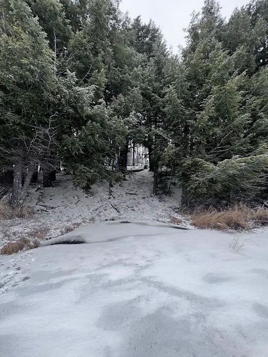 Wolf Campground Picture 7