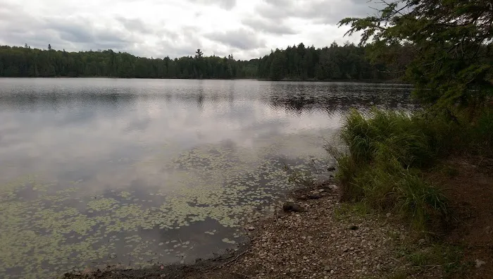 Wolf Campground Picture 1