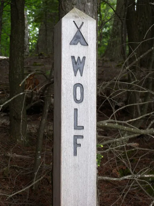 Wolf Campground Picture 6
