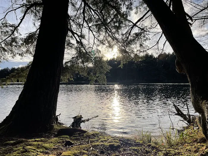 Mink Campground Picture 2