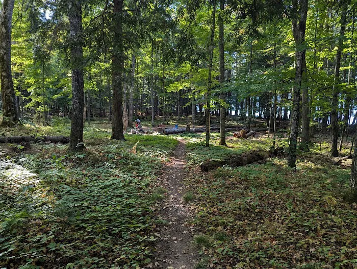 Mink Campground Picture 5