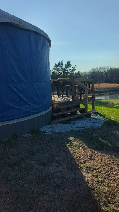 Yurt at the Pocket Picture 6