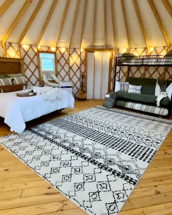 Yurt at the Pocket Picture 2