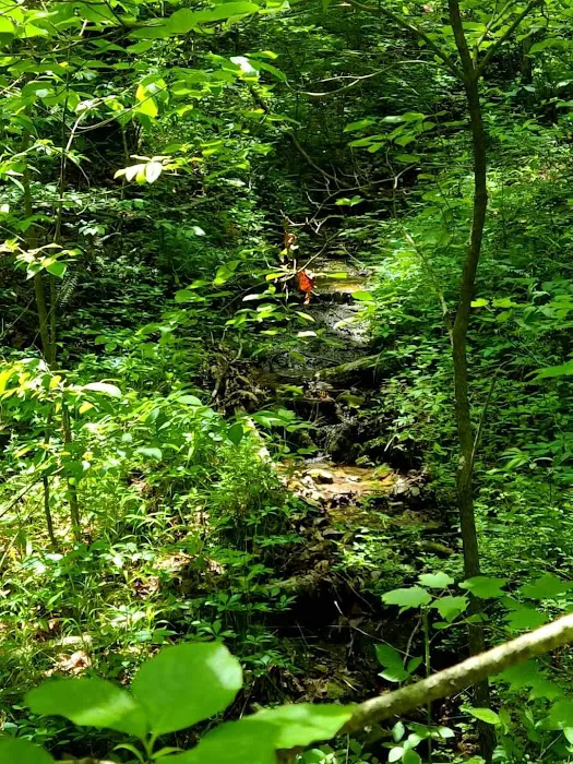 North Fork River Ranch Picture 6