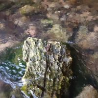 North Fork River Ranch ico