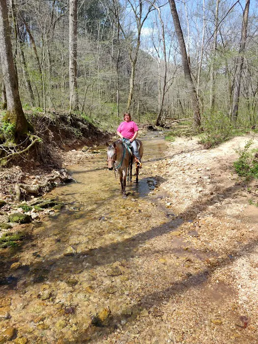 North Fork River Ranch Picture 2