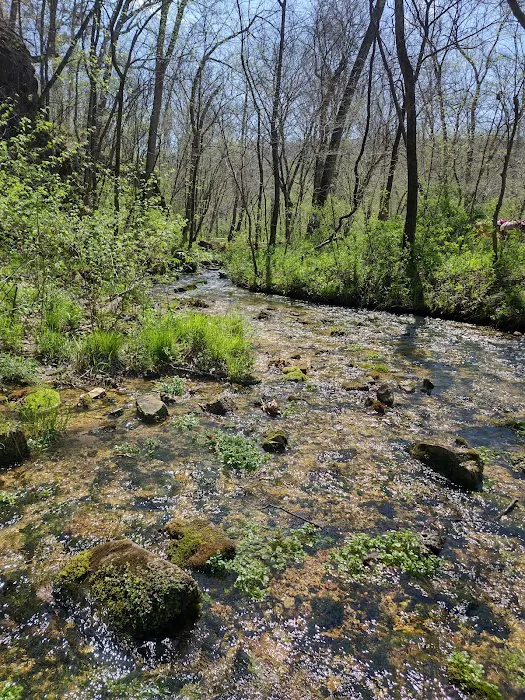 North Fork River Ranch Picture 9