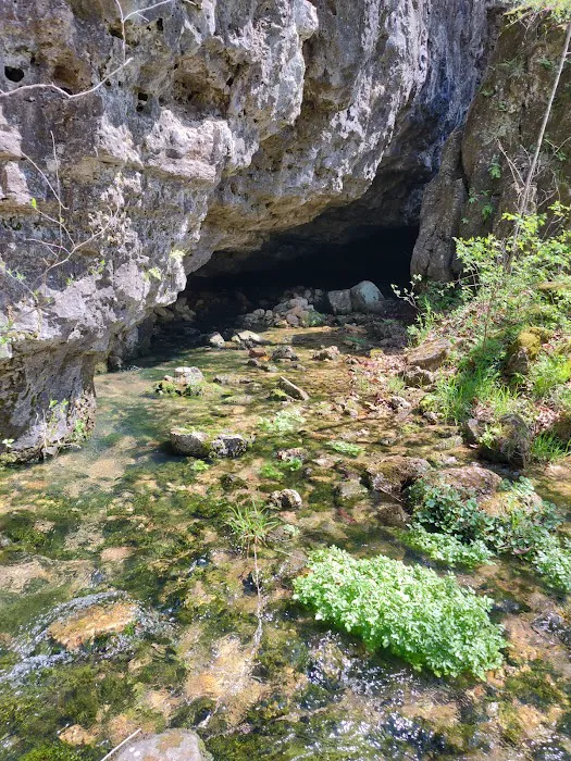 North Fork River Ranch Picture 5