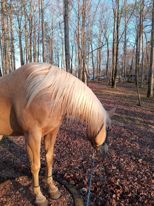 North Fork River Ranch Picture 7