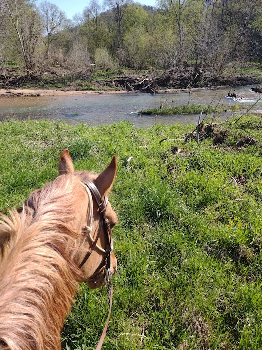 North Fork River Ranch Picture 3
