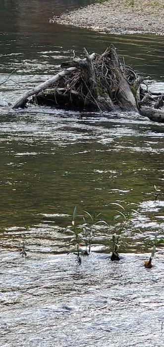MO State Campground Picture 9