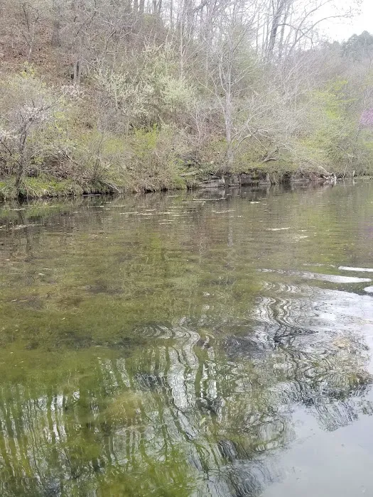 Noblett Lake Campground Picture 9