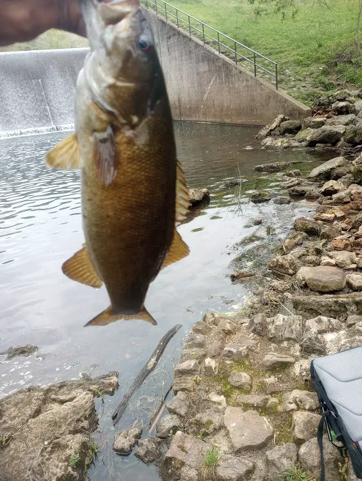 Noblett Lake Campground Picture 10