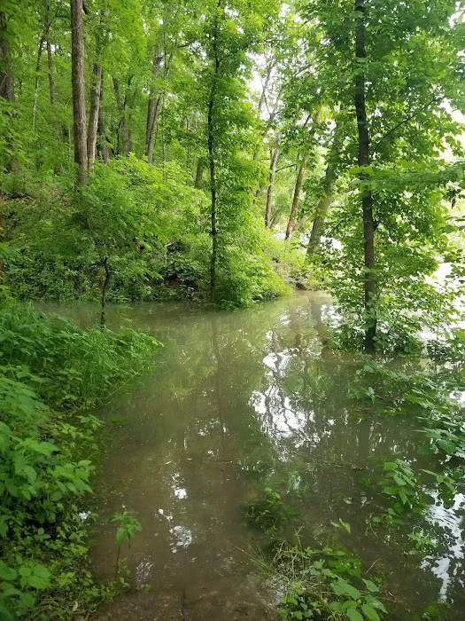 North Fork Recreation Area Picture 7