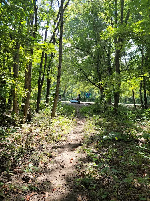 Patrick Bridge Access Campground Missouri department of conservation mdc Picture 4