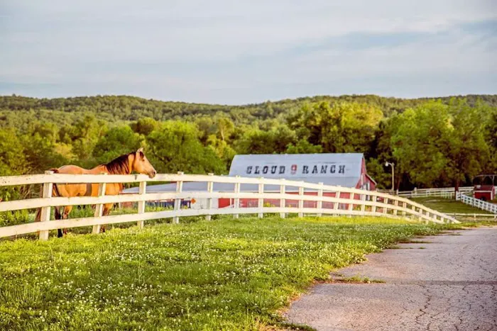 Cloud 9 Ranch Club Picture 9
