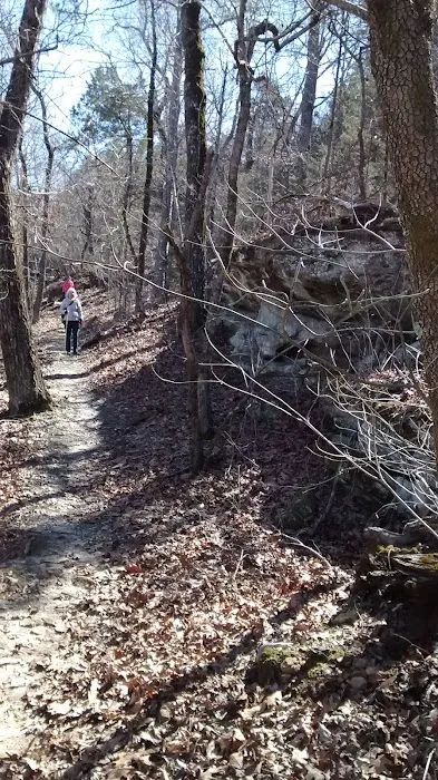 Matney Campground Picture 5
