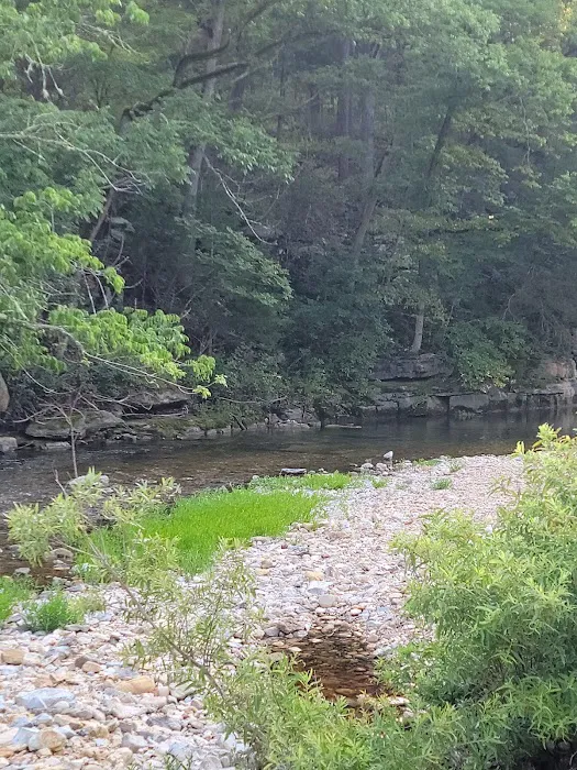 Barkshed Campground Picture 2