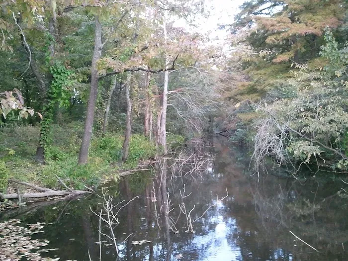 The Gin RV Parking, Camp Sites and Tiny Shack Picture 5