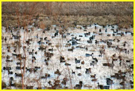 The Gin RV Parking, Camp Sites and Tiny Shack Picture 6