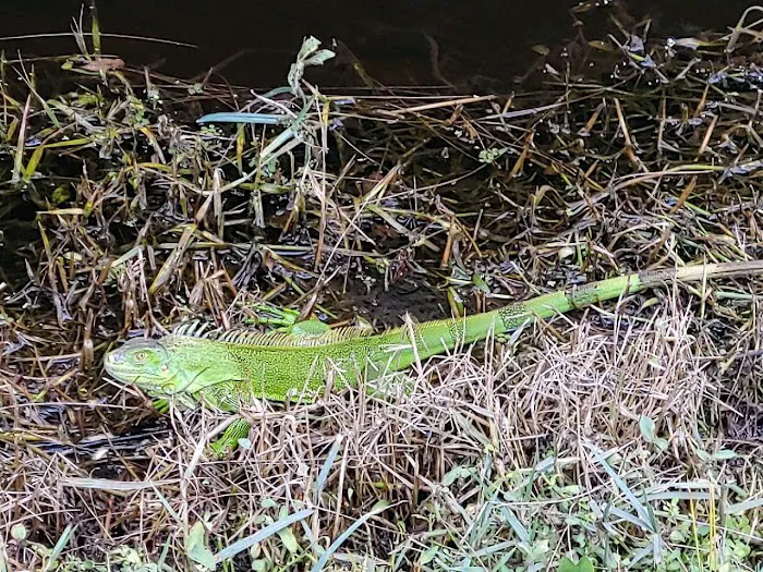 Vero Beach Kamp Inc Picture 5