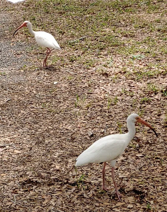 Vero Beach Kamp Inc Picture 4